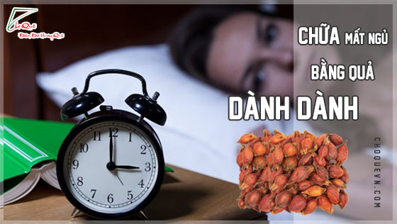 cách chữa mất ngủ bằng quả dành dành